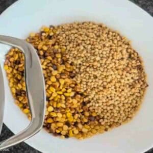 roasted lentils