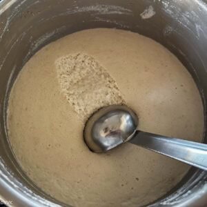 fermented batter