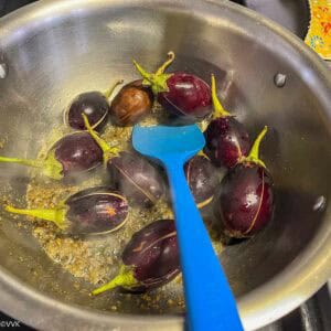 adding the brinjals